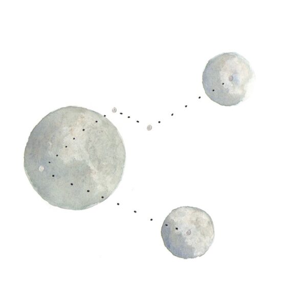 Hydrus (the male) constellation