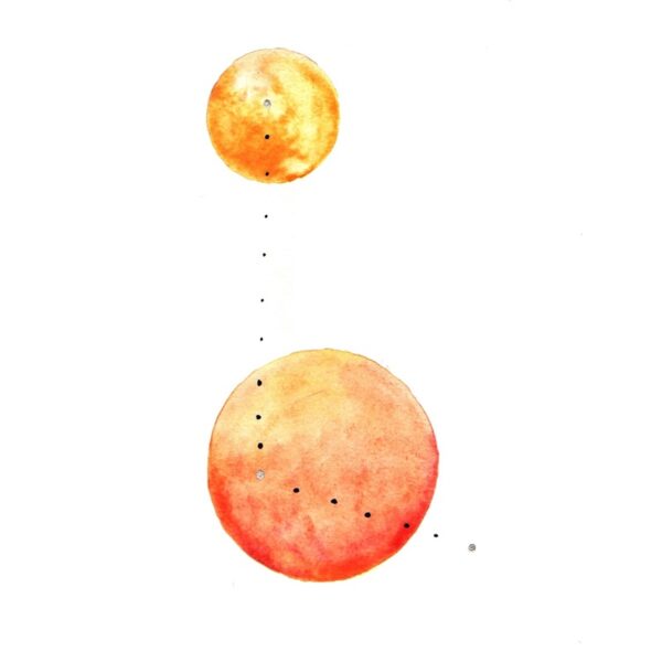 Pictor constellation