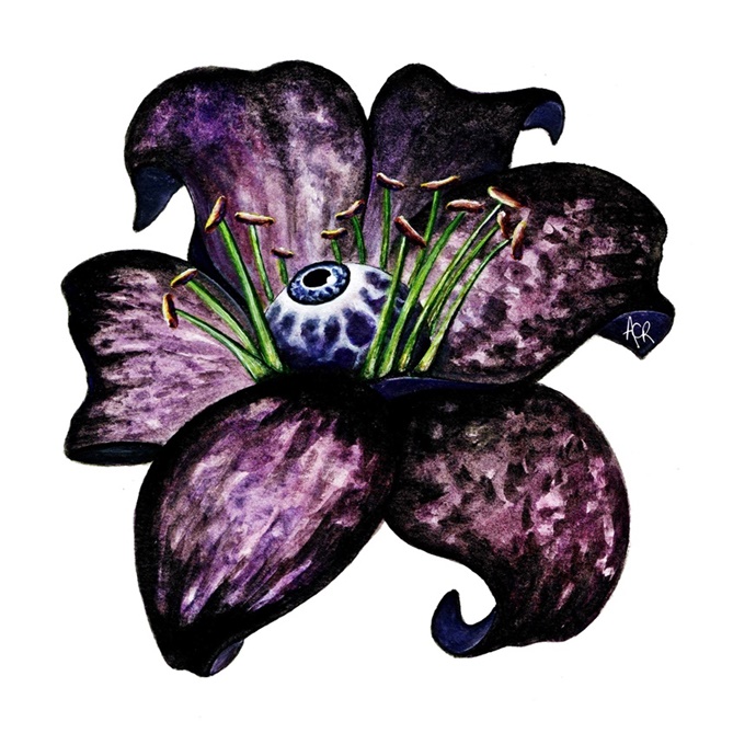 ~ Eye-flower n°06 ~